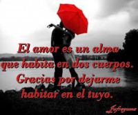 /album/fotogaleria/el-amor-es-un-alma-jpeg/